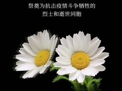 -上海市龙华烈士陵园