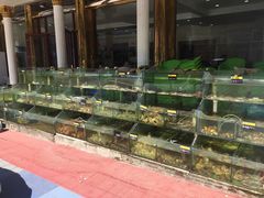 -四海鲜渔家菜(黄金海岸店)