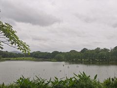 -东莞植物园