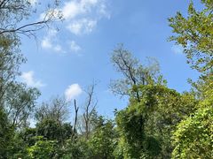 -西湖风景区-江洋畈生态公园