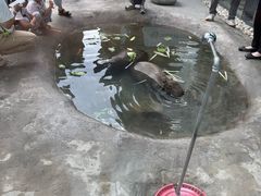 -廊坊固安福朋喜来登酒店