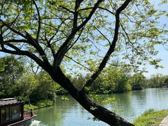 -西溪国家湿地公园