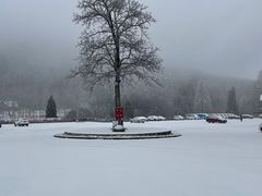 -武陵山森林公园