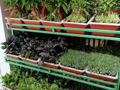 -東城故事·尋找姆媽的味道(玉兰路店)