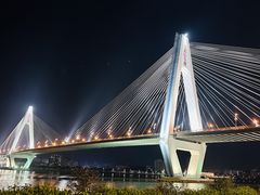 -万绿园