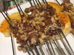 -鼎原力量东北吊炉烧烤(临河街店)