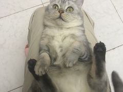 -刘小忙把子肉(北园大街总店)