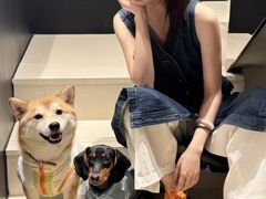 -美联众合动物医院·24h转诊中心