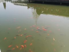 -有喜胶东小馆(超极合生汇太申祥和店)