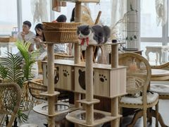 大堂-共舞时光猫咖·狗咖(新街口店)
