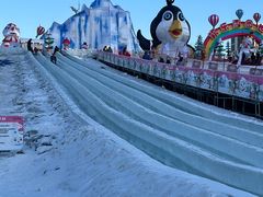 -沈阳奥体冰雪嘉年华