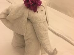 -三亚亚龙湾雅高铂尔曼别墅度假酒店
