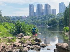 -重庆彩云湖湿地公园