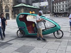 -斯蒂芬主教座堂(Stephansdom)