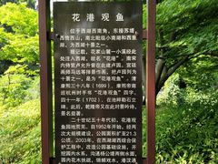 -西湖外事游船(花港观鱼码头)