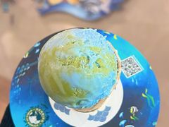 -贝林大翅鲸简餐厅(国家海洋博物馆店)