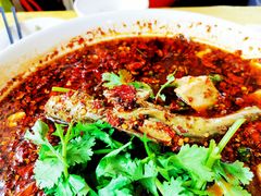 水煮岷江河黄辣丁-胖大姐黄辣丁鱼庄(新津店)