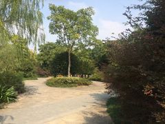 -杭州城北体育公园