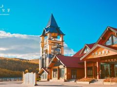 -乌兰布统景区-白桦林