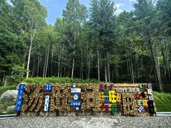 -汤旺河林海奇石景区
