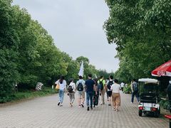 -上海海湾国家森林公园