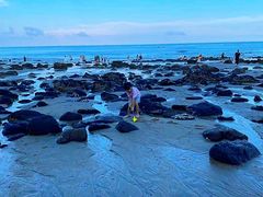 -漳州滨海火山岛自然生态风景区