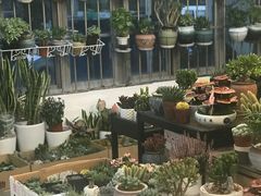 -双季花艺园艺市场(浦东店)