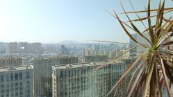 点击看大图 -牛油果儿童摄影