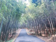 -苏州环秀晓筑养生度假村