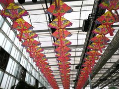 -兰陵国家农业公园