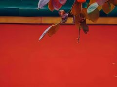 -后海公园