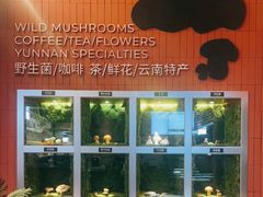 -芸山季·云南野生菌火锅(宝能环球汇店)