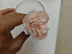-眉州东坡(亚运村店)
