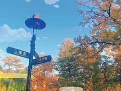 -三鹰之森吉卜力美术馆