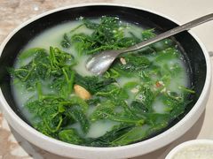 鸽汤桑叶-羽鸽集·乳鸽专门店·地道顺德菜(岭南站店)