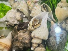 -威海渔村(黄兴路店)