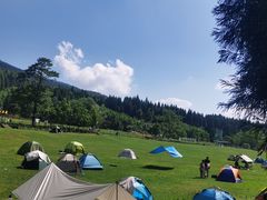 -武陵山森林公园