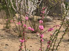 -白水寺森林公园