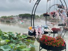 -荷兰花海