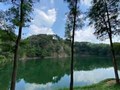 -王借岗森林公园