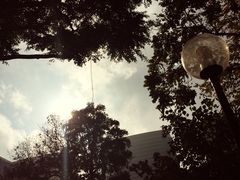 -九龙公园