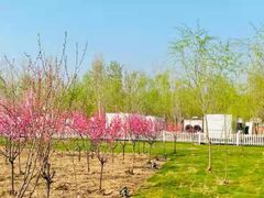 -TIPPI营地 房车主题·露营烧烤团建轰趴(天安假日店)