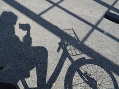-东平国家森林公园