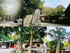 -青岛崂山太清宫