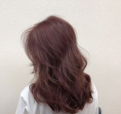 点击看大图 -斑斓色彩沙龙