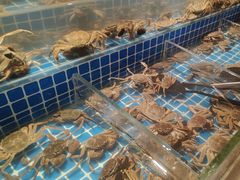 -星伦多自助料理·涮烤一体(杭州来福士店)