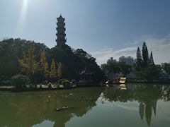 -江心屿景区
