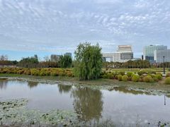 -春花秋色城市公园