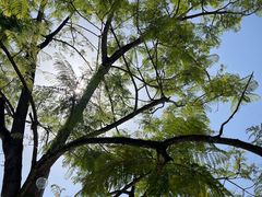 -海兰云天度假区温泉