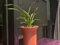 -箱美术馆私房菜(水晶郦城店)